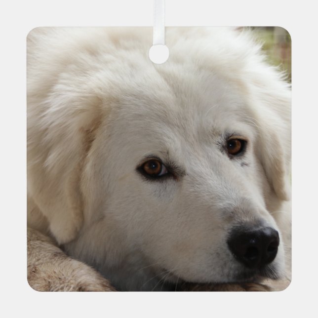 White Livestock Guardian Dog Metal Tree Decoration (Front)