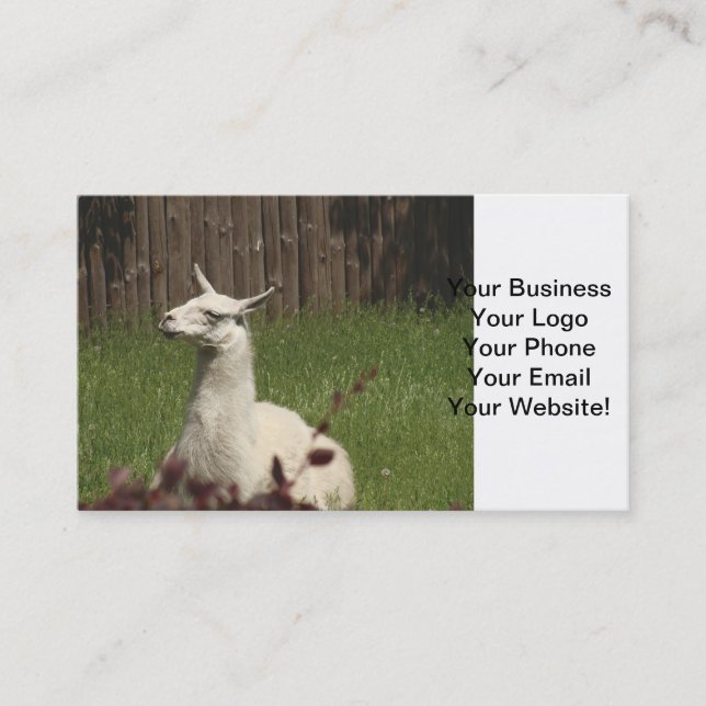 White Llama Business Card (Front)