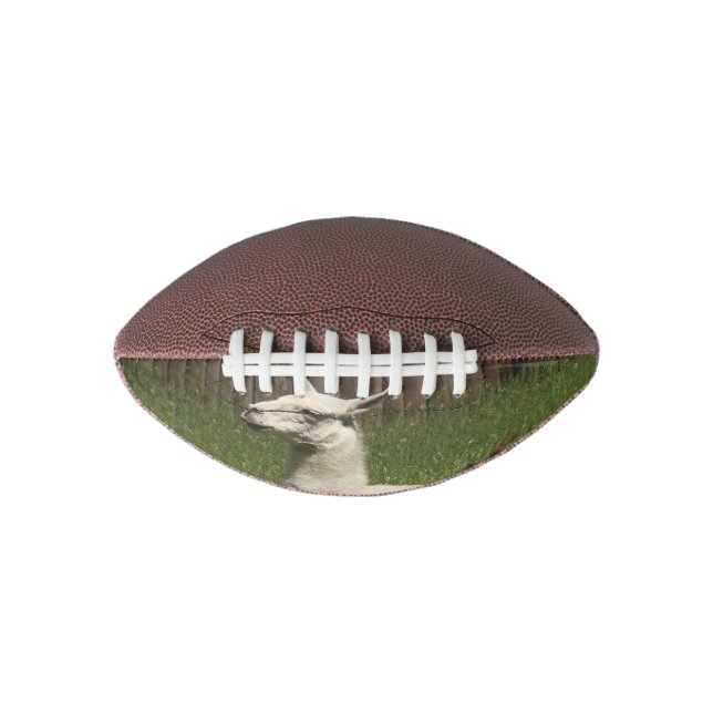 White Llama Football (Front)