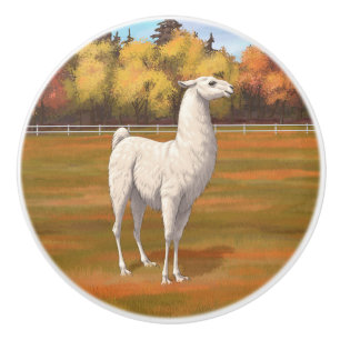 White Llama in Autumn Farm Pasture Ceramic Knob