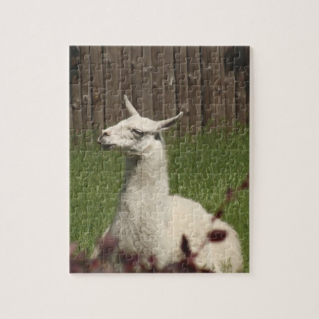 White Llama Jigsaw Puzzle (Vertical)