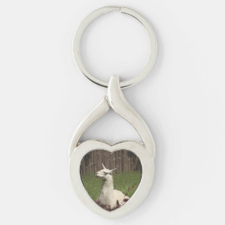 White Llama Key Ring