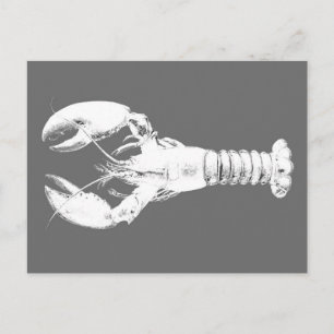 White Lobster on Grey / Grey Postcard