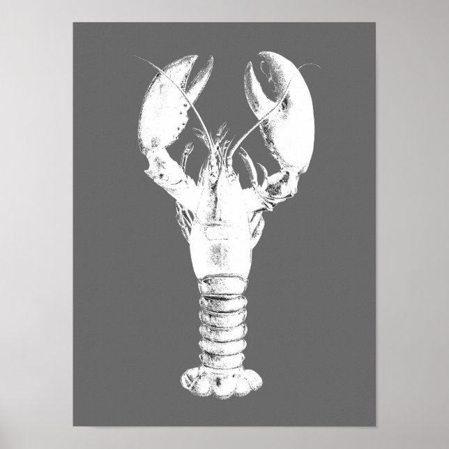 White Lobster on Grey / Grey Poster (Front)