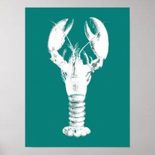 White Lobster on Turquoise / Teal Poster