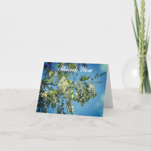 White Locust Flower Blossoms Thank You Card