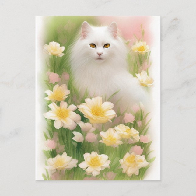 White Long Haired Cat  Postcard (Front)