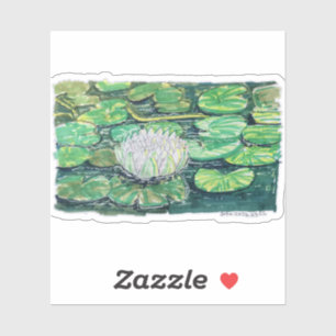 White Lotus and Lily Pads