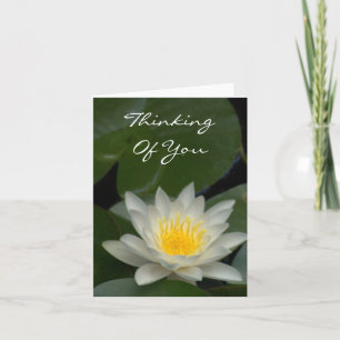 WHITE LOTUS BLOSSOM CARD