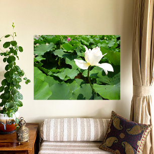 White Lotus Flower Canvas Print