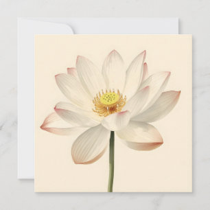 White Lotus Flower Card