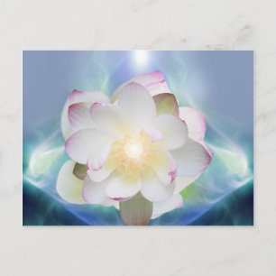White lotus flower in blue crystal postcard