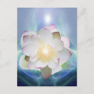 White lotus flower in blue crystal postcard