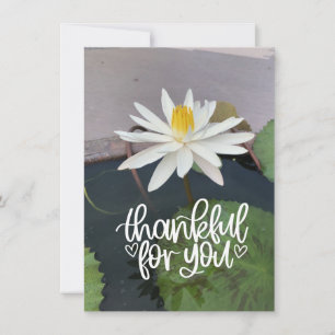 White lotus in the pond thank you card