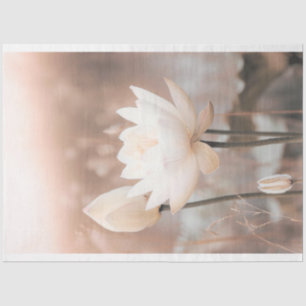 White Lotus, Rose Pink, Pampas Grass, misty lake Tissue Paper