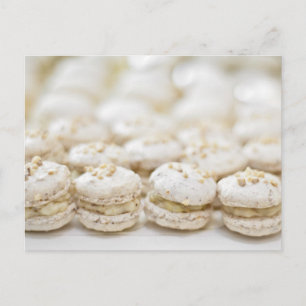 White Macaroons Postcard