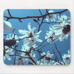 White Magnolia Bloom Blue Sky Mouse Pad