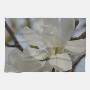 White Magnolia Blooming in the Spring Tea Towel