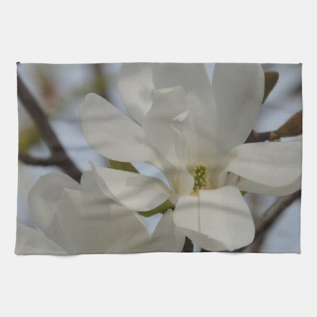 White Magnolia Blooming in the Spring Tea Towel (Horizontal)