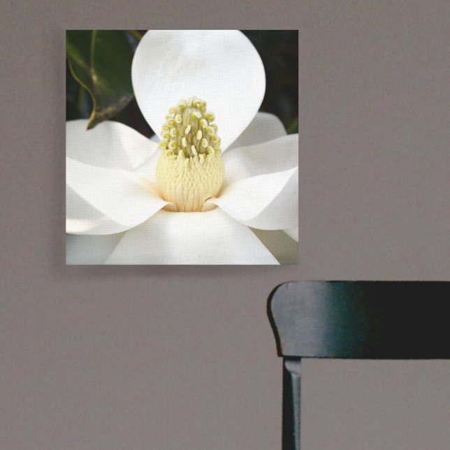 White Magnolia Blossom Photographic Botanical Canvas Print (Creator Uploaded)