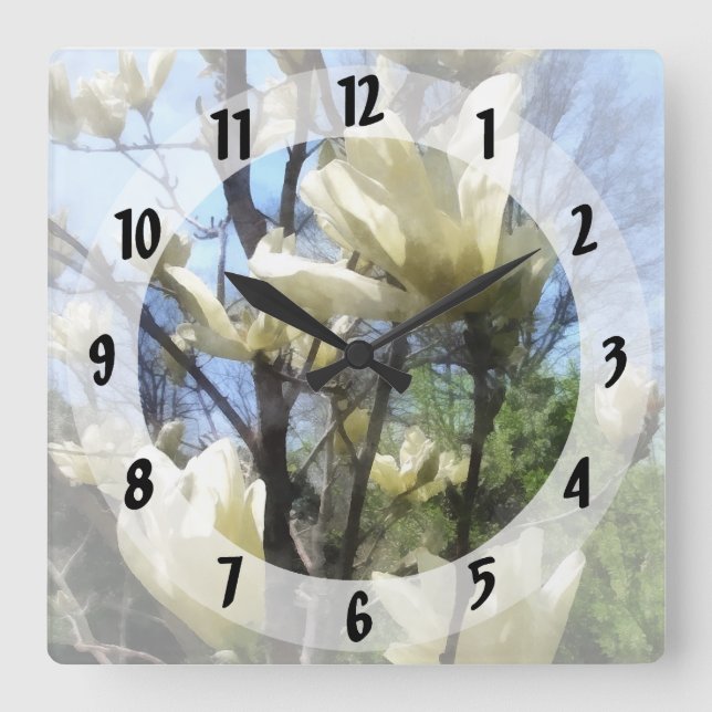 White Magnolia Branches Square Wall Clock (Front)