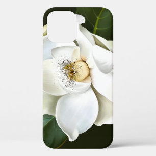 White Magnolia Closeup Green Background iPhone 12 Case