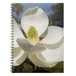 White Magnolia flower and a bee Notebook