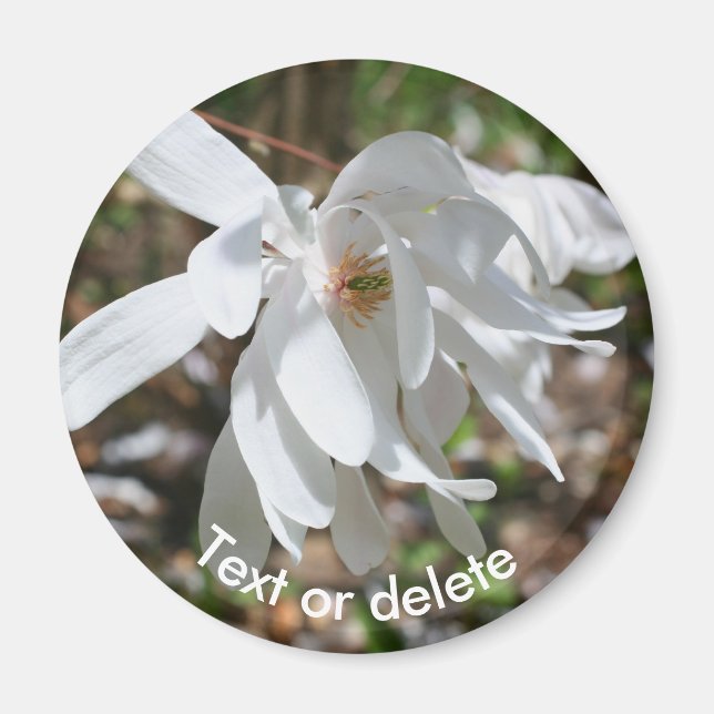 White Magnolia Flower Blossom Personalised Magnet (Front)