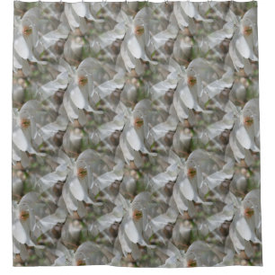 White Magnolia Flower Blossoms Nature  Shower Curtain