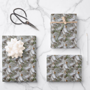 White Magnolia Flower Blossoms Nature   Wrapping Paper Sheet