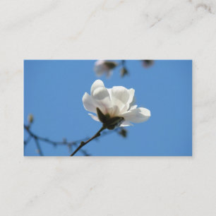 White Magnolia Flower Business Cards Blue Sky