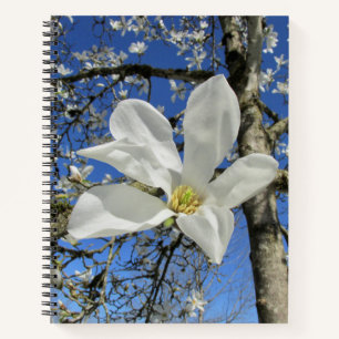 White Magnolia Flower in Tree. Notebook