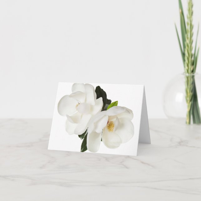 White Magnolia Flower Magnolias Floral Flowers Card (Front)