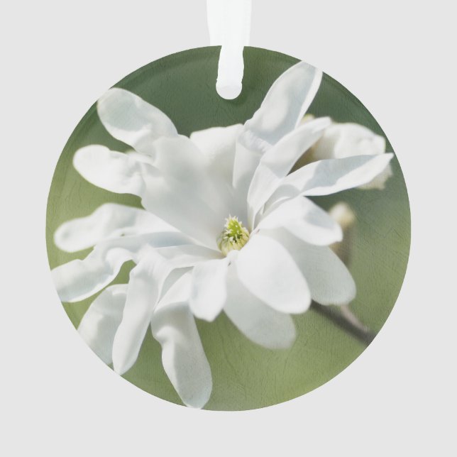 White Magnolia Flower Ornament (Back)
