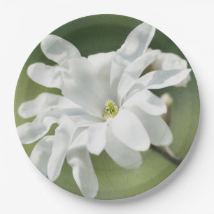 White Magnolia Flower Paper Plate