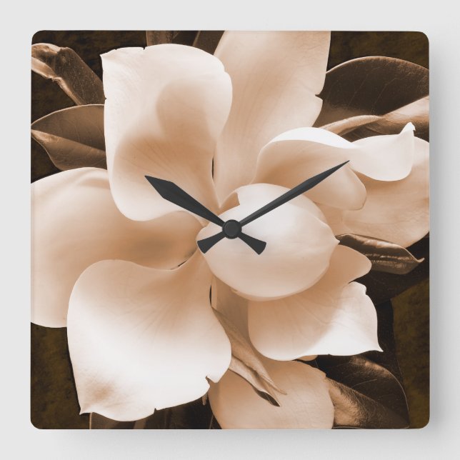 White Magnolia Flower Sepia Black Background Square Wall Clock (Front)