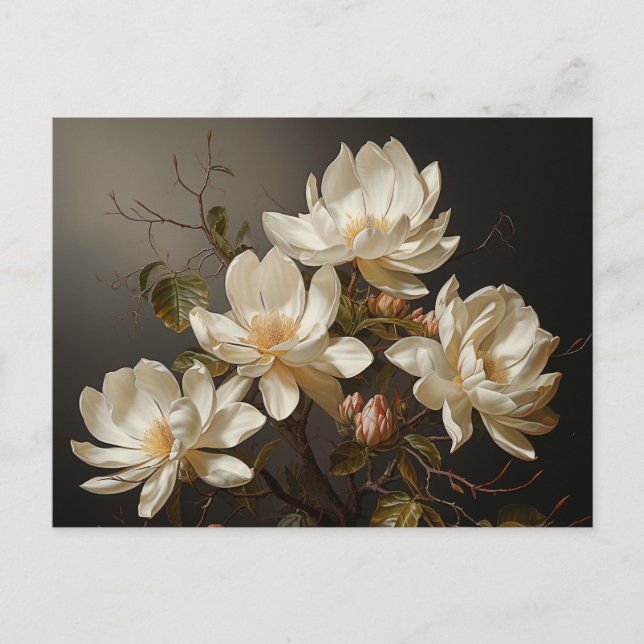 White magnolia flowers postcard (Front)