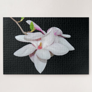 White Magnolia Jigsaw Puzzle