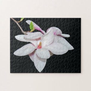 White Magnolia Jigsaw Puzzle