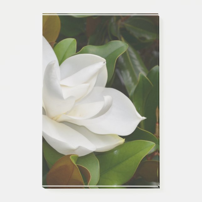 White Magnolia Post-it Notes (Front)