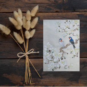 White Magnolia Postcard