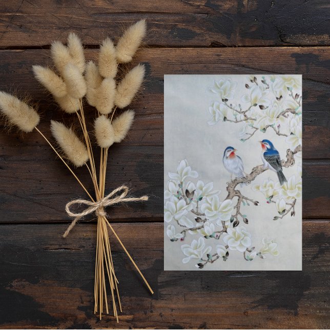 White Magnolia Postcard (Creator Uploaded)