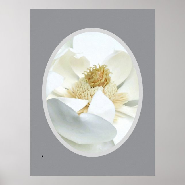                          White Magnolia            Poster (Front)