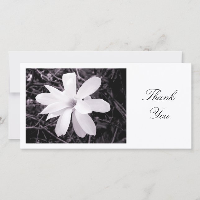 White Magnolia - Thank You (Front)