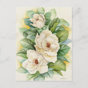 White Magnolia Vintage Floral Blooming Flowers Art Postcard