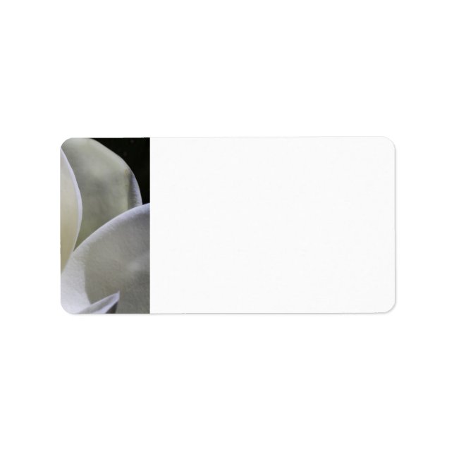 White Magnolia - Wedding Address Labels (Front)