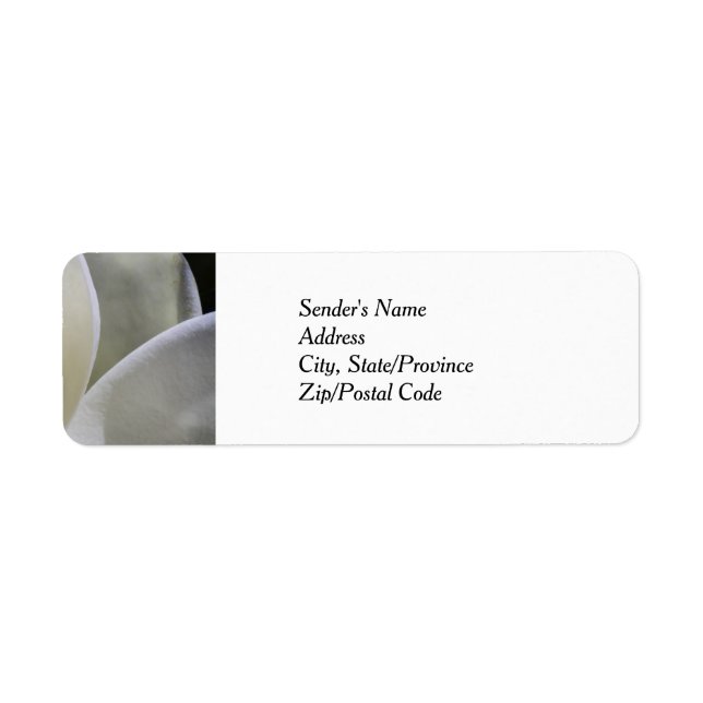 White Magnolia Wedding Return Address Labels (Front)
