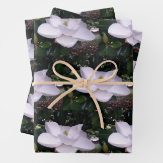 White Magnolia Wrapping Paper Flat Sheet Set of 3