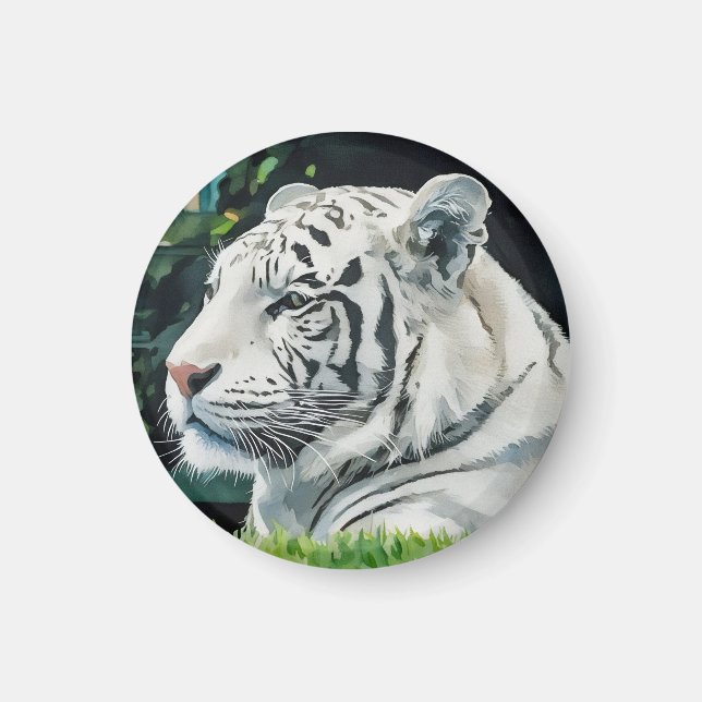 White Majesty – Resting Tiger Wildlife Magnet (Front)