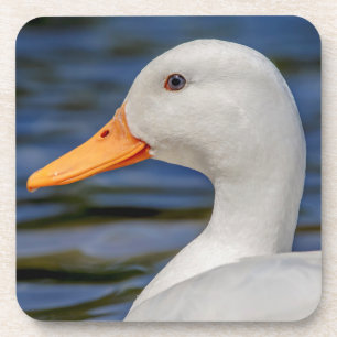 White Mallard Duck Coaster